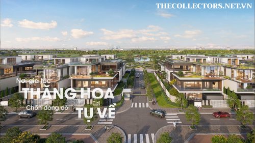 Không gian đồng bộ biệt thự The Collectors'