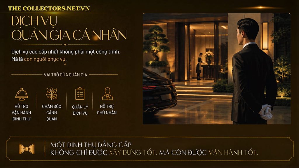 Vận hành dự án The Collectors'